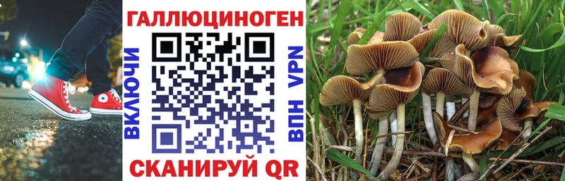 ссылка на мегу ONION  продажа наркотиков  Миллерово  Галлюциногенные грибы мухоморы 