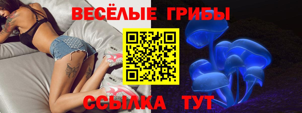 Миллерово  Галлюциногенные грибы Magic Shrooms  Вход с VPN 