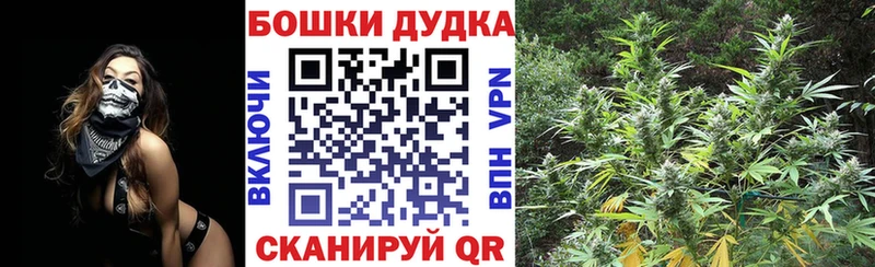 Шишки марихуана конопля Миллерово